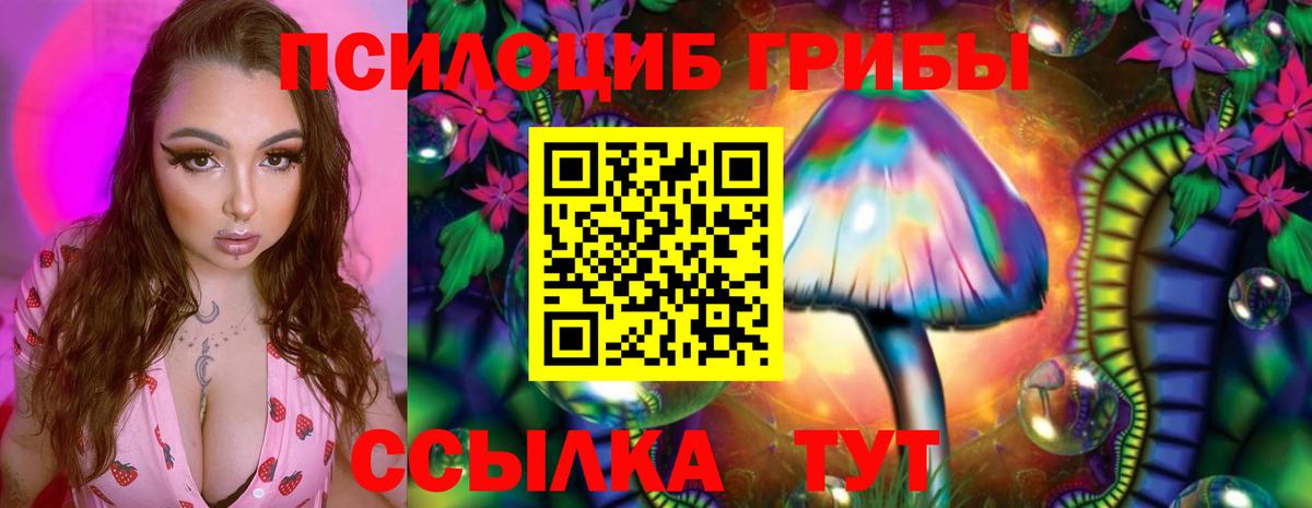 Псилоцибиновые грибы мицелий Магнитогорск